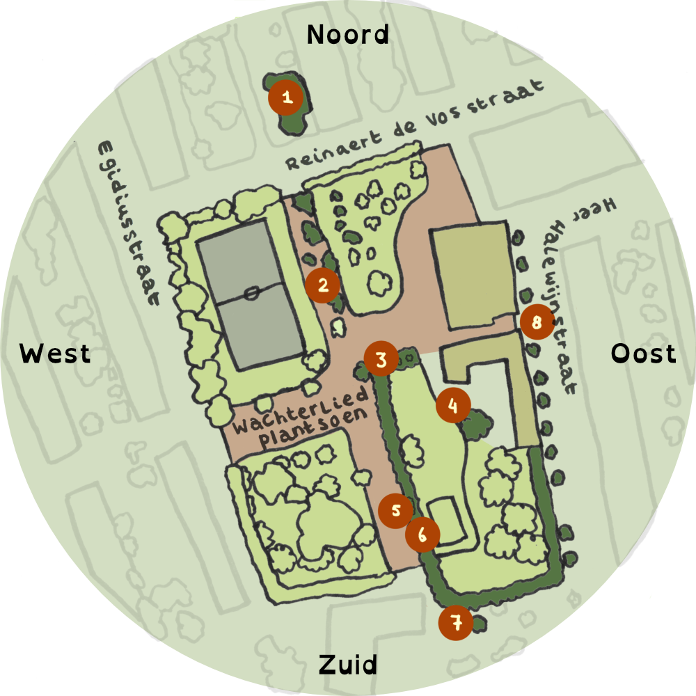 Verwonderbomenkaart achterkant